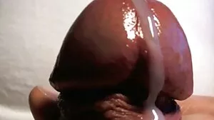Tubegalore à tukif vidéos