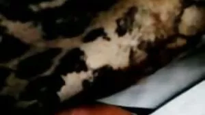 sexy porno vidéos français adolescent l'amour