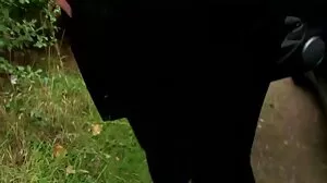 Tube Rouge Maison vidéos sexe porno Bbw